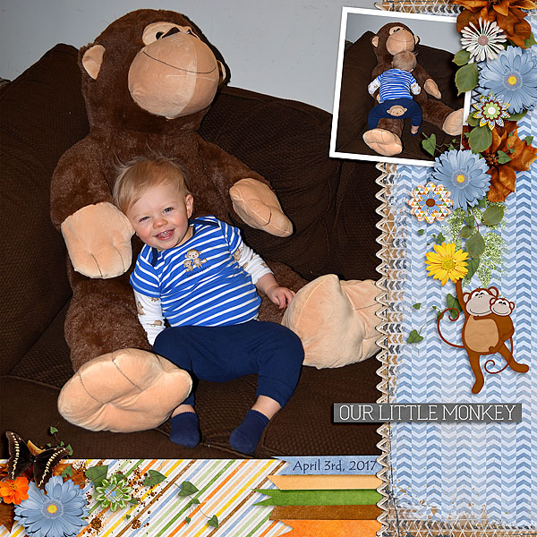Our Little Monkey