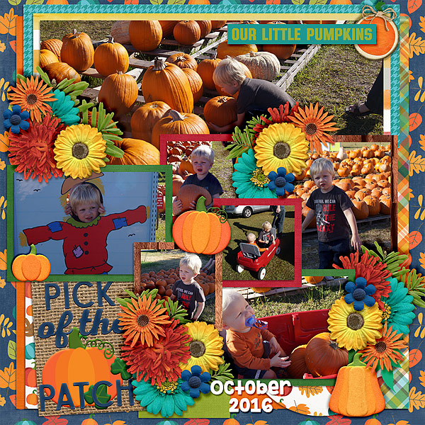 our-little-pumpkins-2016