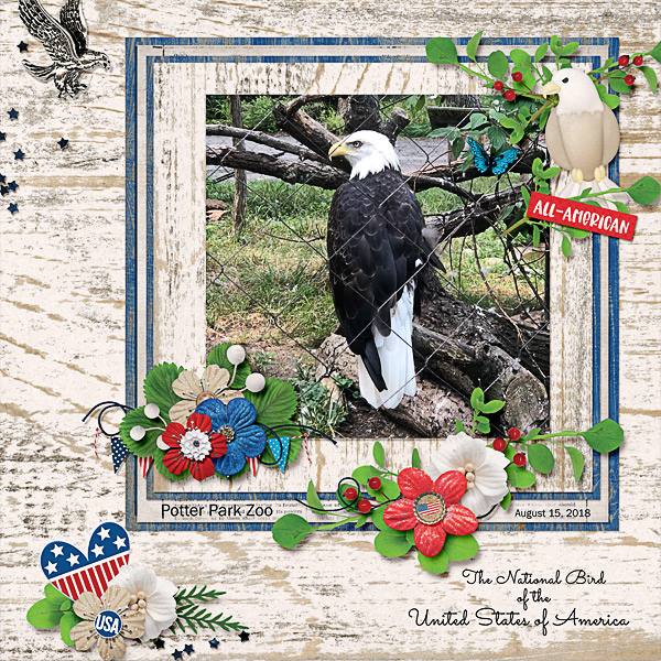 Our National Bird