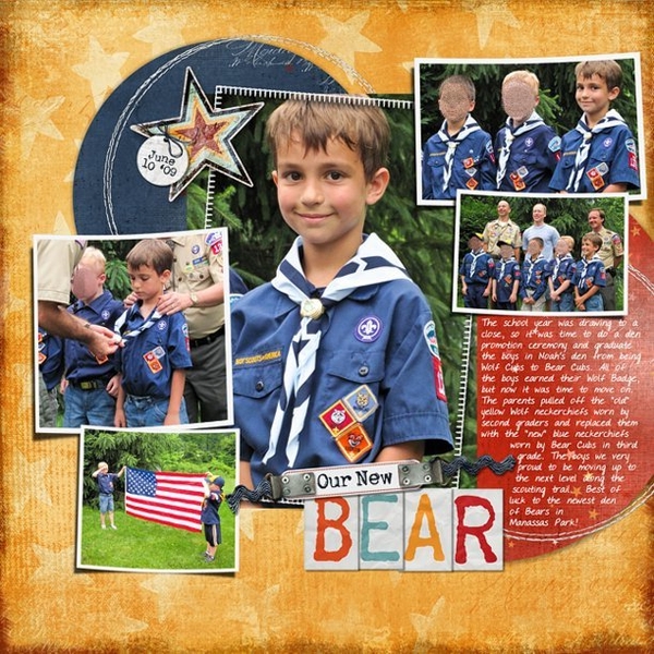 Our New Bear