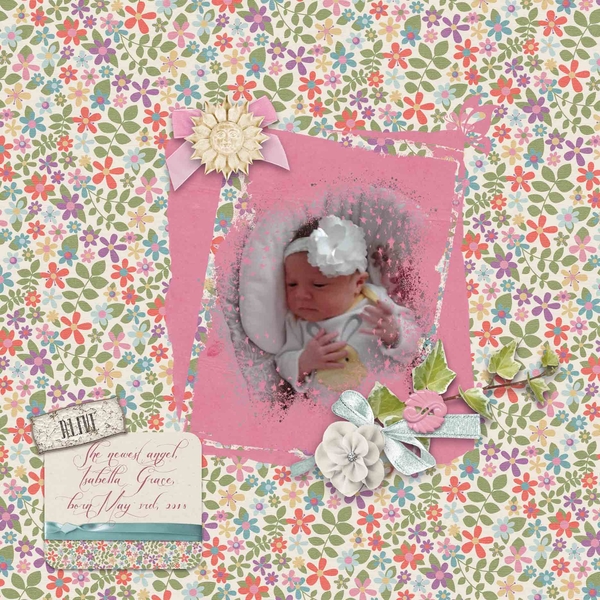 Our Newest Angel