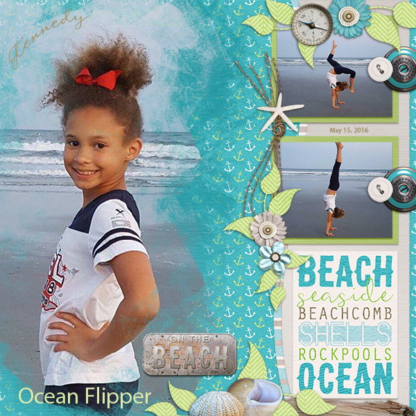 Our Ocean Flipper