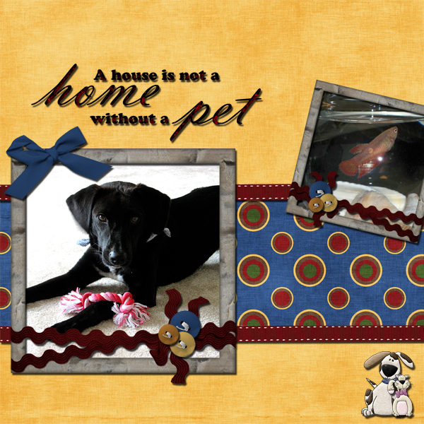 Our Pets : Debbie and Pexa