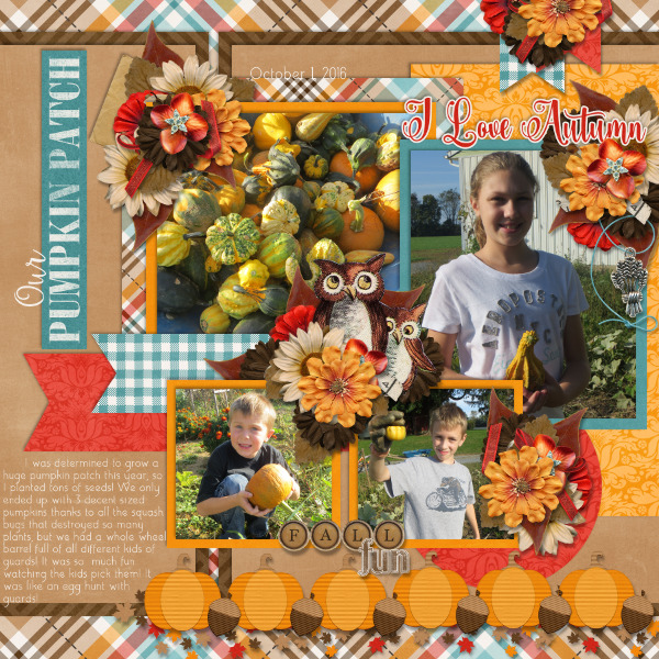 Our Pumpkin Patch