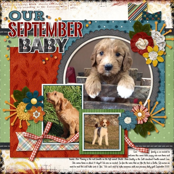 our September baby