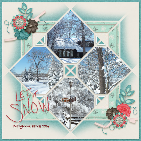Our snowy home