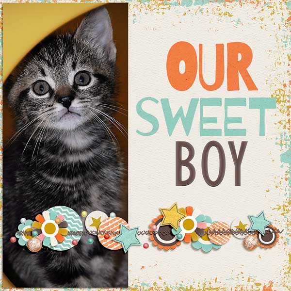 our sweet boy