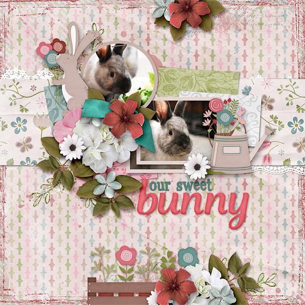 Our Sweet Bunny