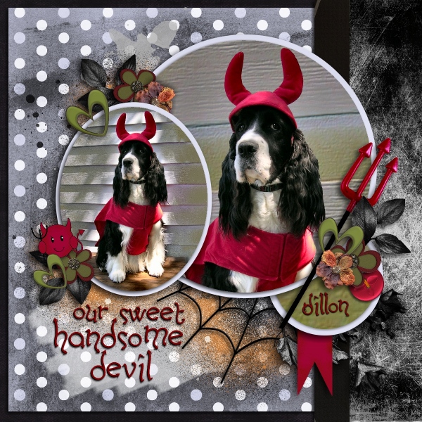Our Sweet Handsome Devil