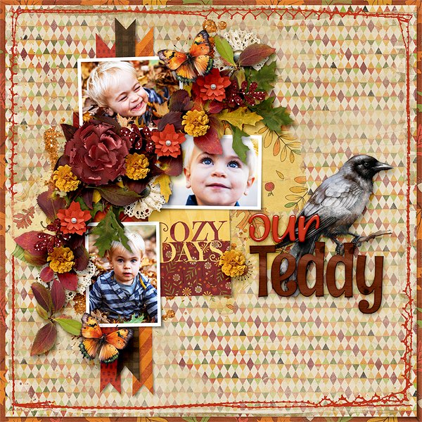 Our Teddy