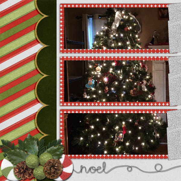 our tree