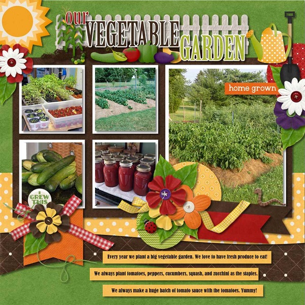 our vegetable garden