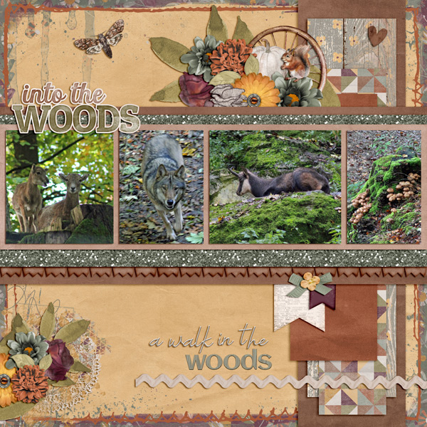 our walk in the autumn forest