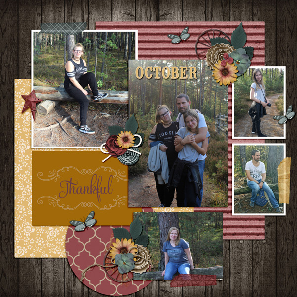 our walk through the woods