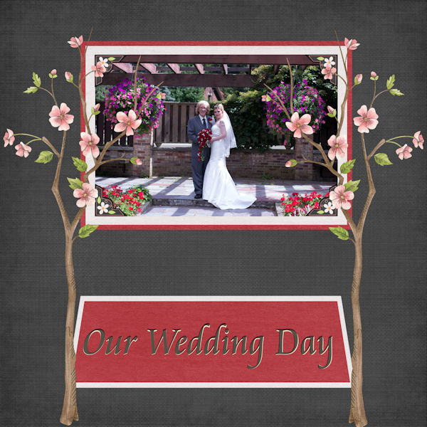 Our Wedding Day
