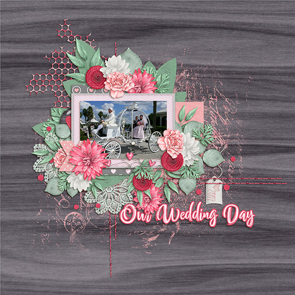 Our Wedding