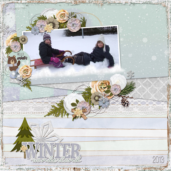 our winter wonderland