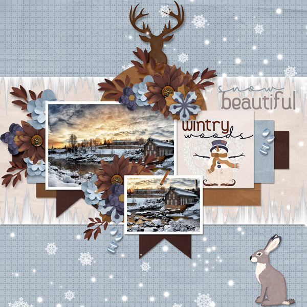 Our Wintry Woods