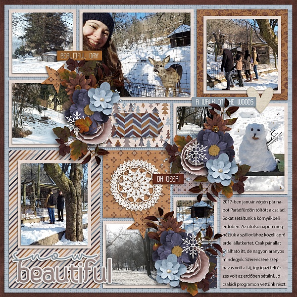 Our wintry woods