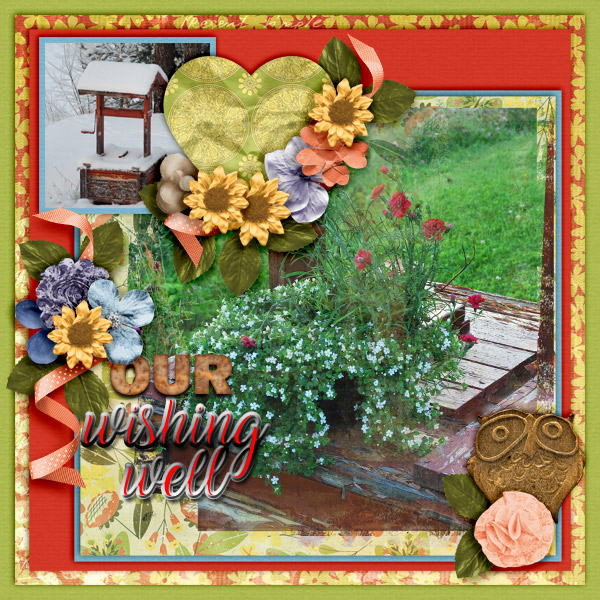 Our-wishing-well