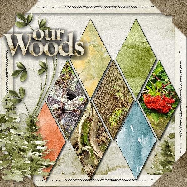 Our Woods