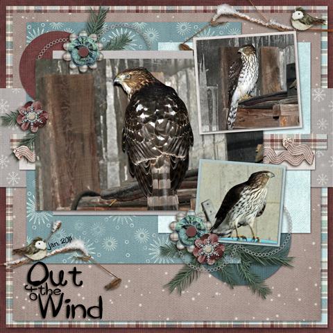 Out of the Wind