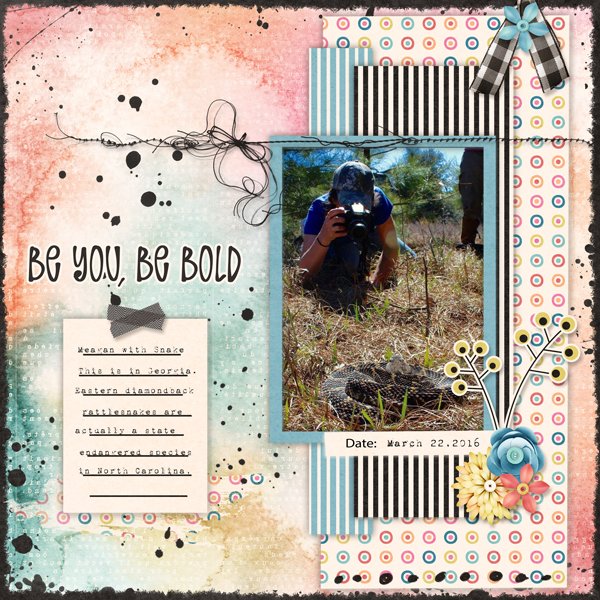 Out With The Old...In With The BOLD