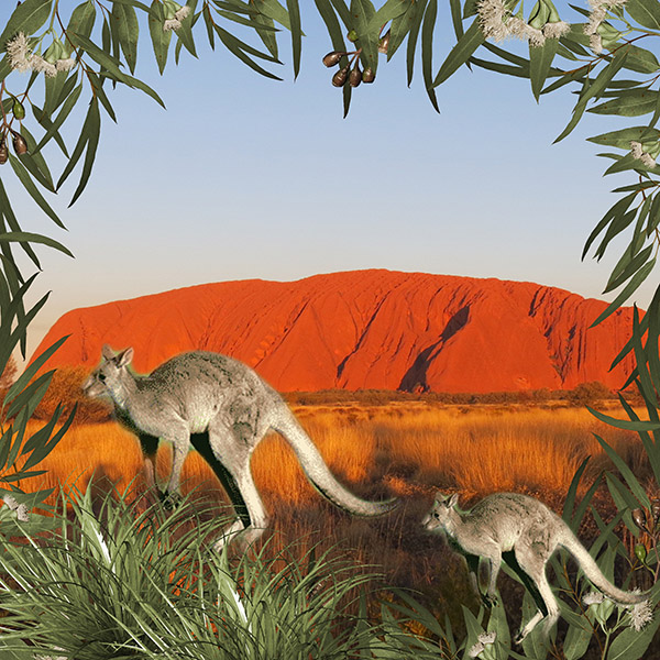 Outback