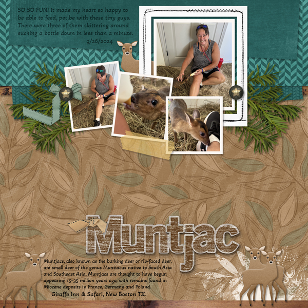 Outdoor Hunting  Bundle