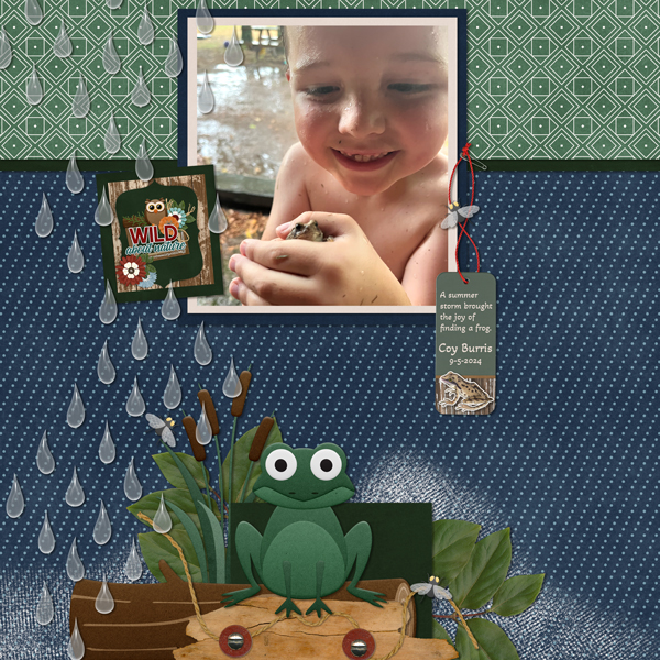 Outdoor Swamp from Designs by Connie Prince