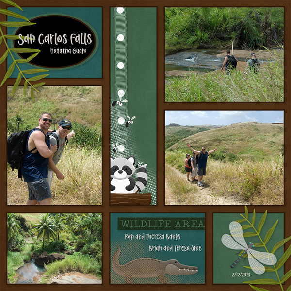 Outdoor Swamp
