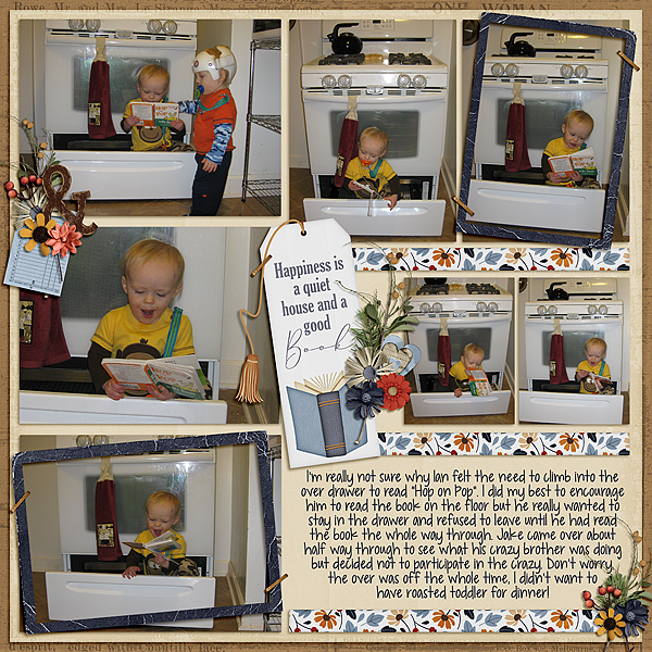 Oven Reading