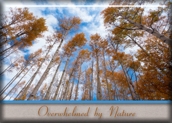 Overwhelmed by Nature