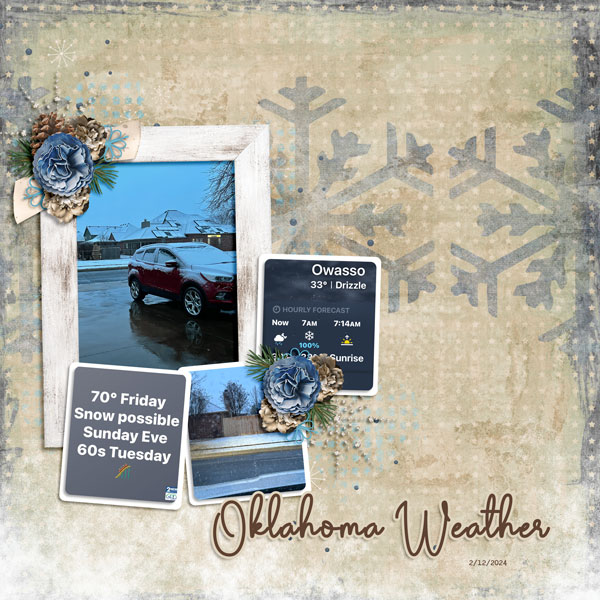 Owasso Weather - SNOW - 2.12.2024