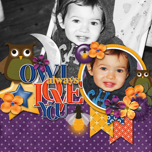 Owl Always Love You