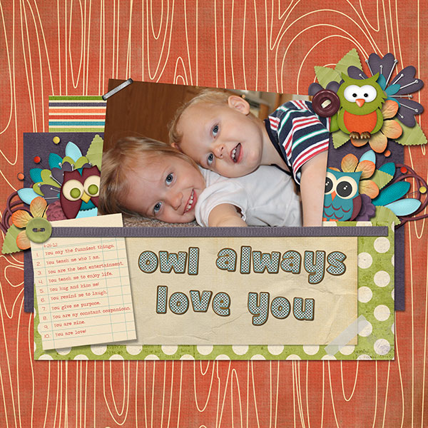 Owl Always Love You