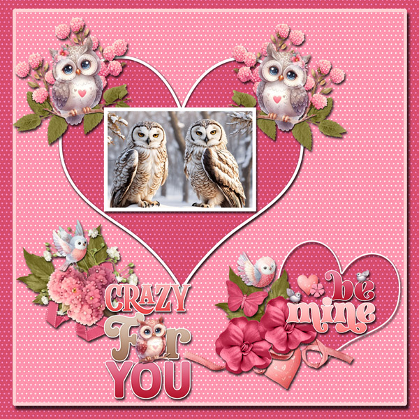 Owl Always Love You