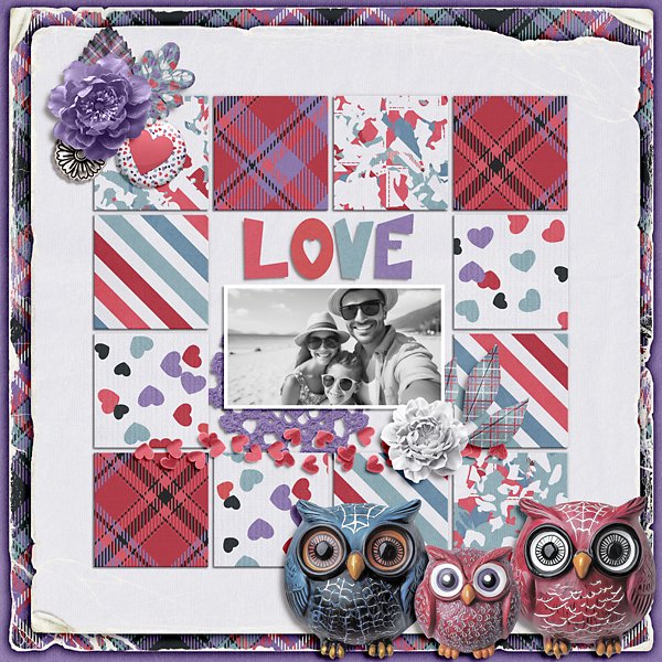 Owl Always Love You