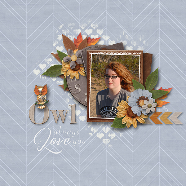 Owl Always