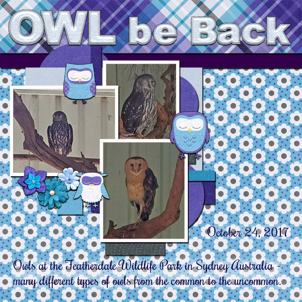 Owl Be Back