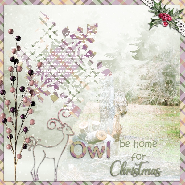 Owl Be Home for Christmas