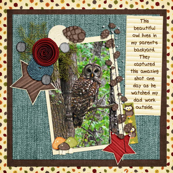 Owl Be Watching You!