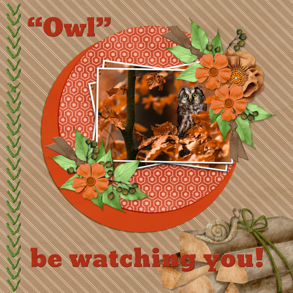 Owl be watching you