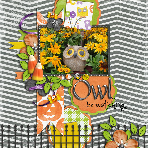 Owl be watching
