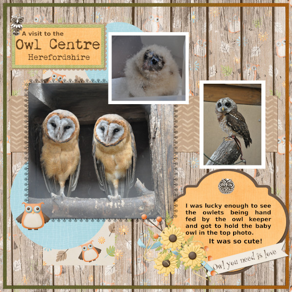 Owl Centre
