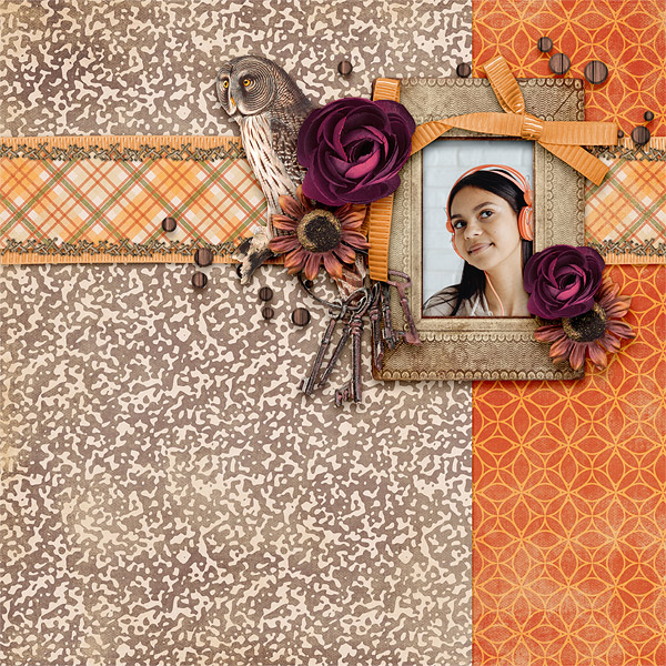Owl-gebra