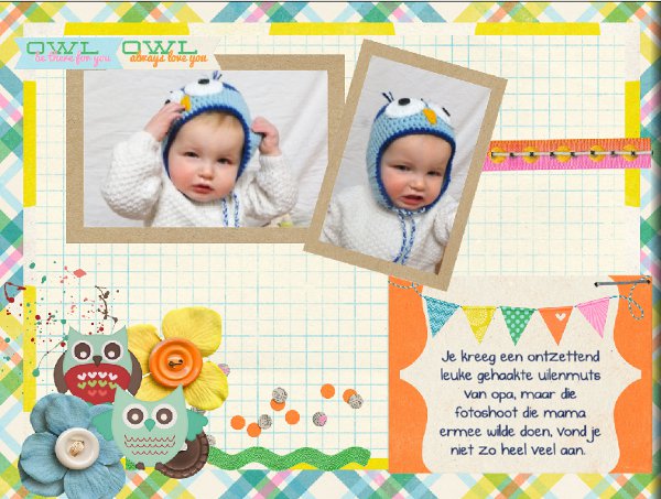 Owl hat