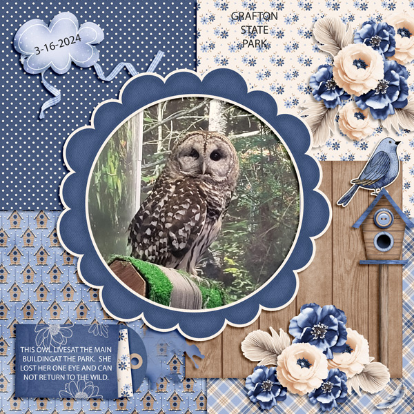 OWL-JUMP-1-25