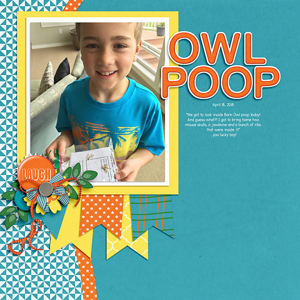 Owl Poop