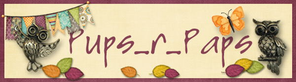 Owl Siggy